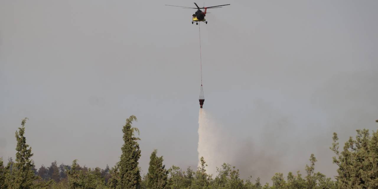 Kuru otları temizlerken ormanı yaktılar