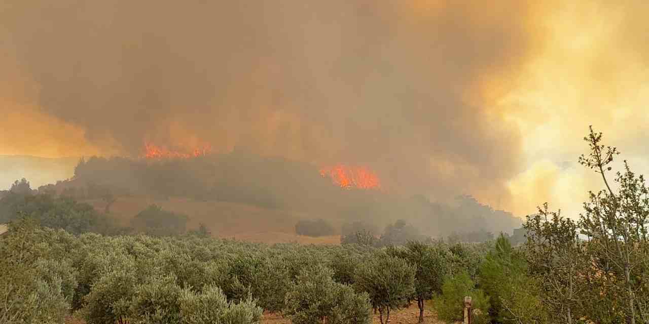Denizli'de ormanlar 4 gündür alev alev yanıyor: 84 ev tahliye edildi