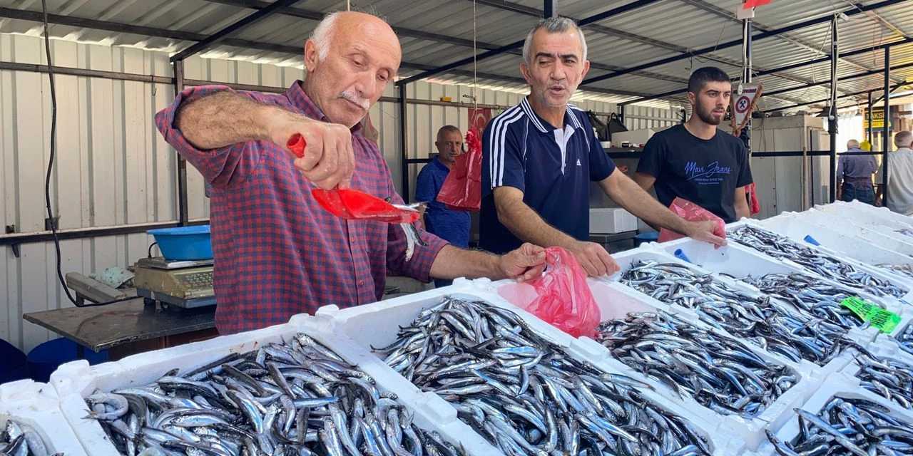 Av sezonun ilk balıkları tezgaha çıktı: Fiyatlar belli oldu