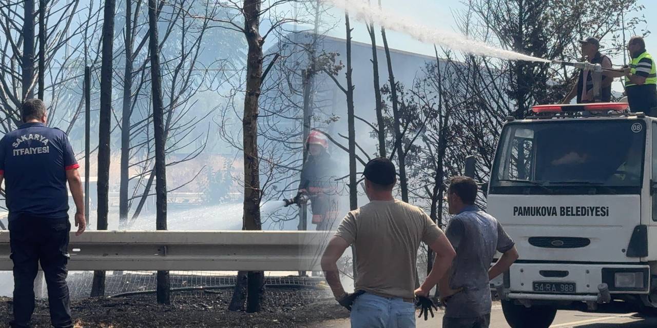 Sakarya’da ağaçlık alanda yangın!