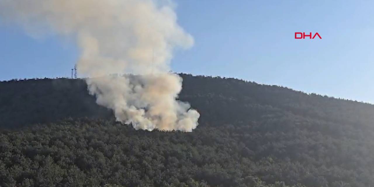 Ataşehir'de orman yangını: Kontrol altına alındı