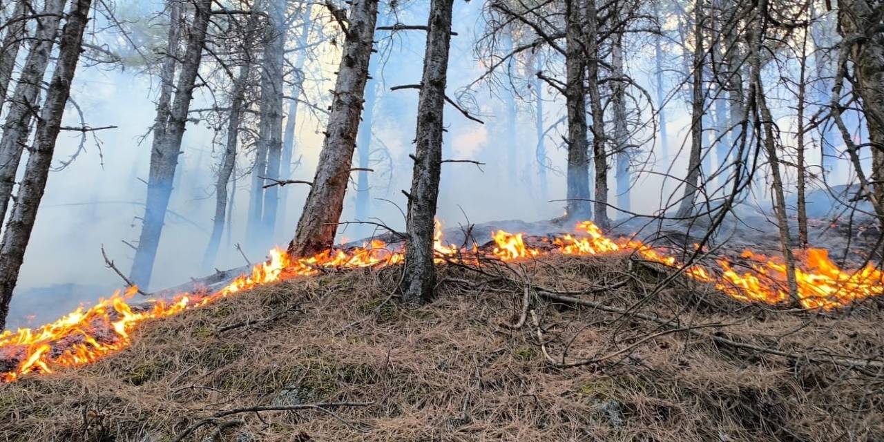 Bakandan yangınlara ilişkin açıklama