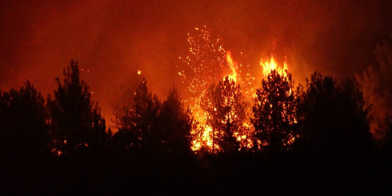 Karabük'te başlayan yangın Kastamonu'ya ulaştı!