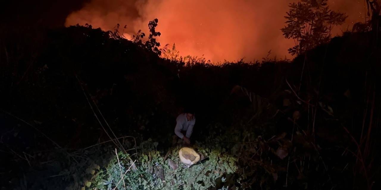 Yangına müdahale ederken çalılıklara takıldı! Çaresizce kurtarılmayı bekledi