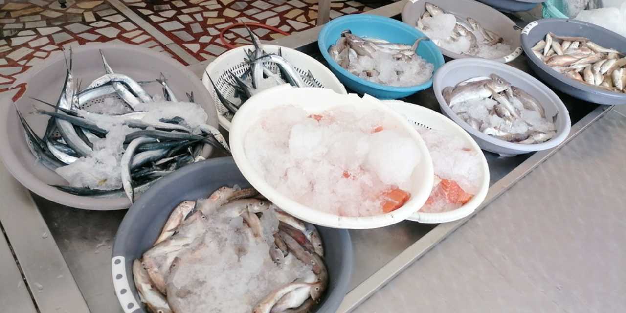 Sezonun ilk balıkları tezgahta! 100 liradan satılıyor