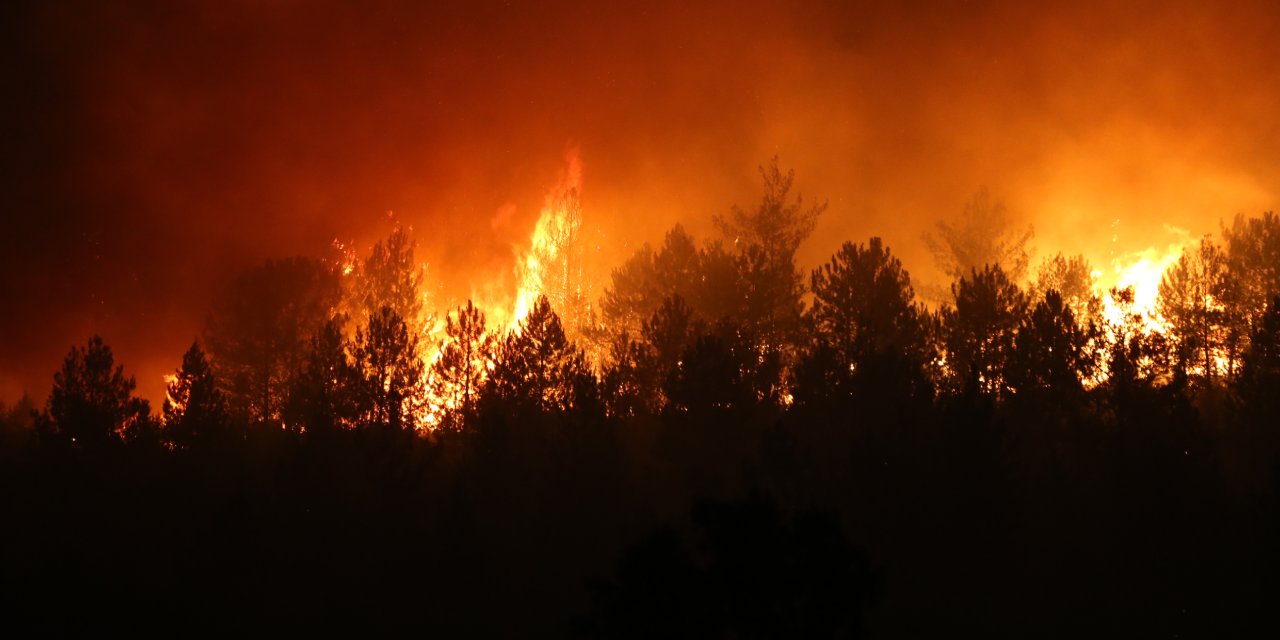 İki ildeki ormanlar günlerdir cayır cayır yanıyor! Dumanlar Ankara'ya ulaştı