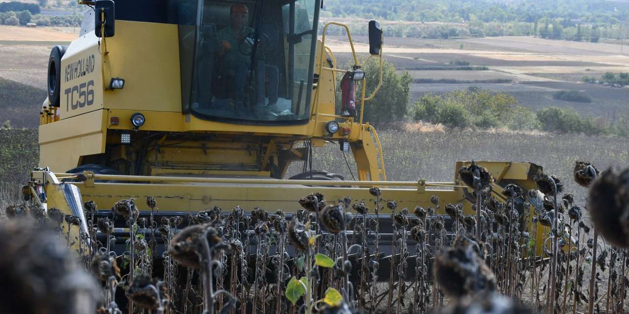 Türk çiftçisine kaşıkla yabancılara kepçeyle: İthalata ödenen milyarlarca dolar ortaya çıktı
