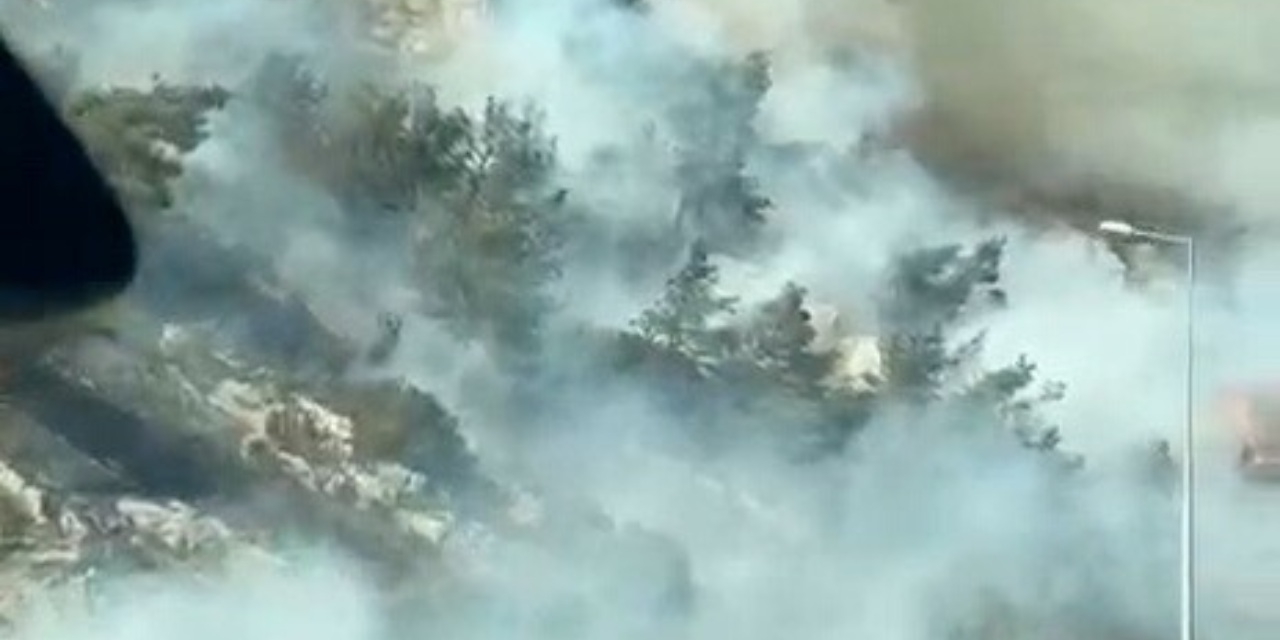 Aydın'da makilik yangını ormana sıçradı!