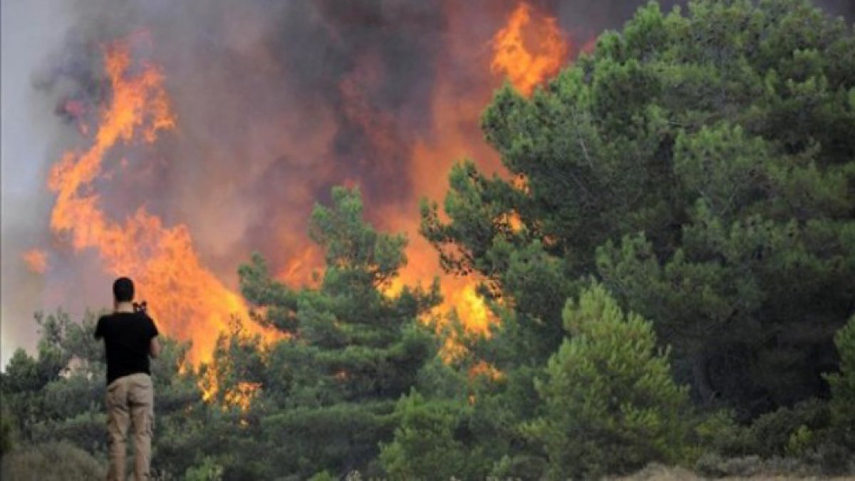 İstanbul Valiliği açıkladı! Aydos’taki orman yangınının nedeni beli oldu