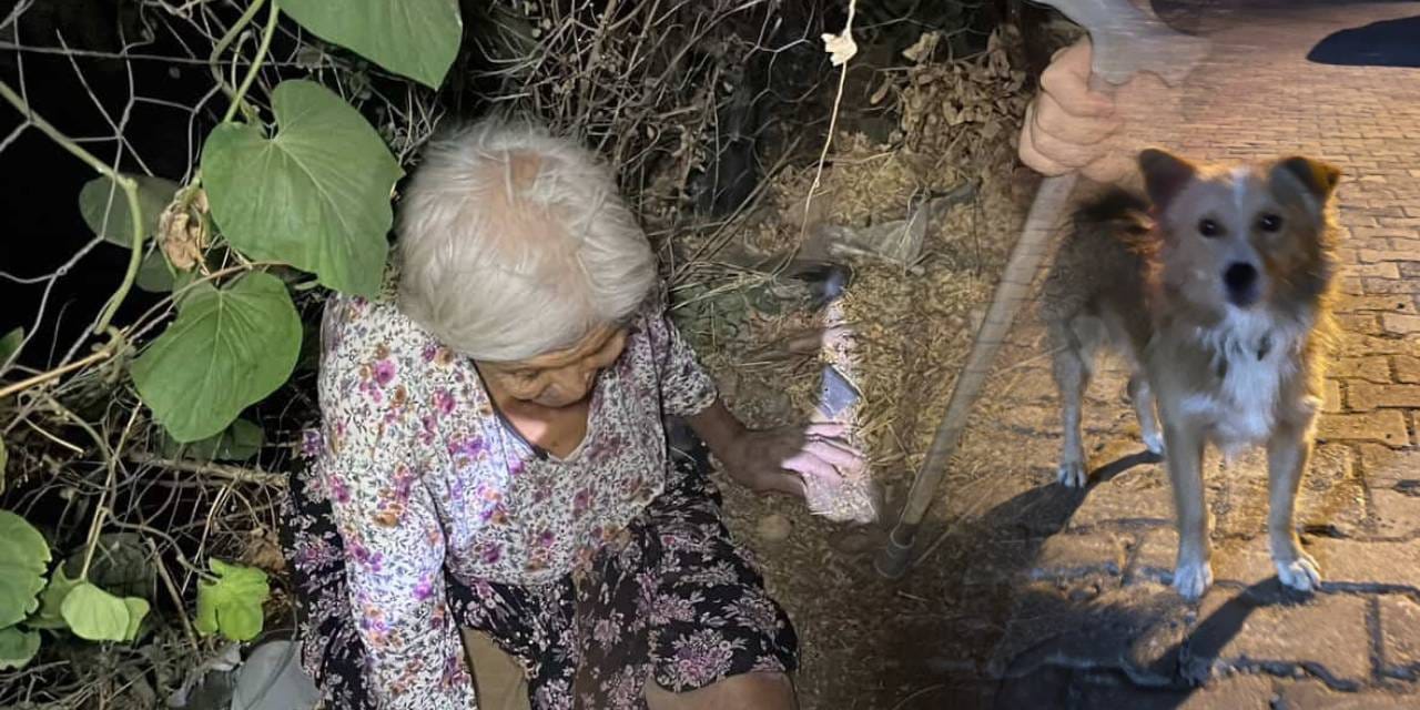 86 yaşındaki Hayriye nineyi her gün beslediği köpek buldu