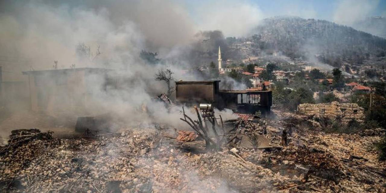 Şirketler gözünü dikti, bakanlık onayı verdi! Bodrum’da yanan ormanda bakın ne yapacaklar