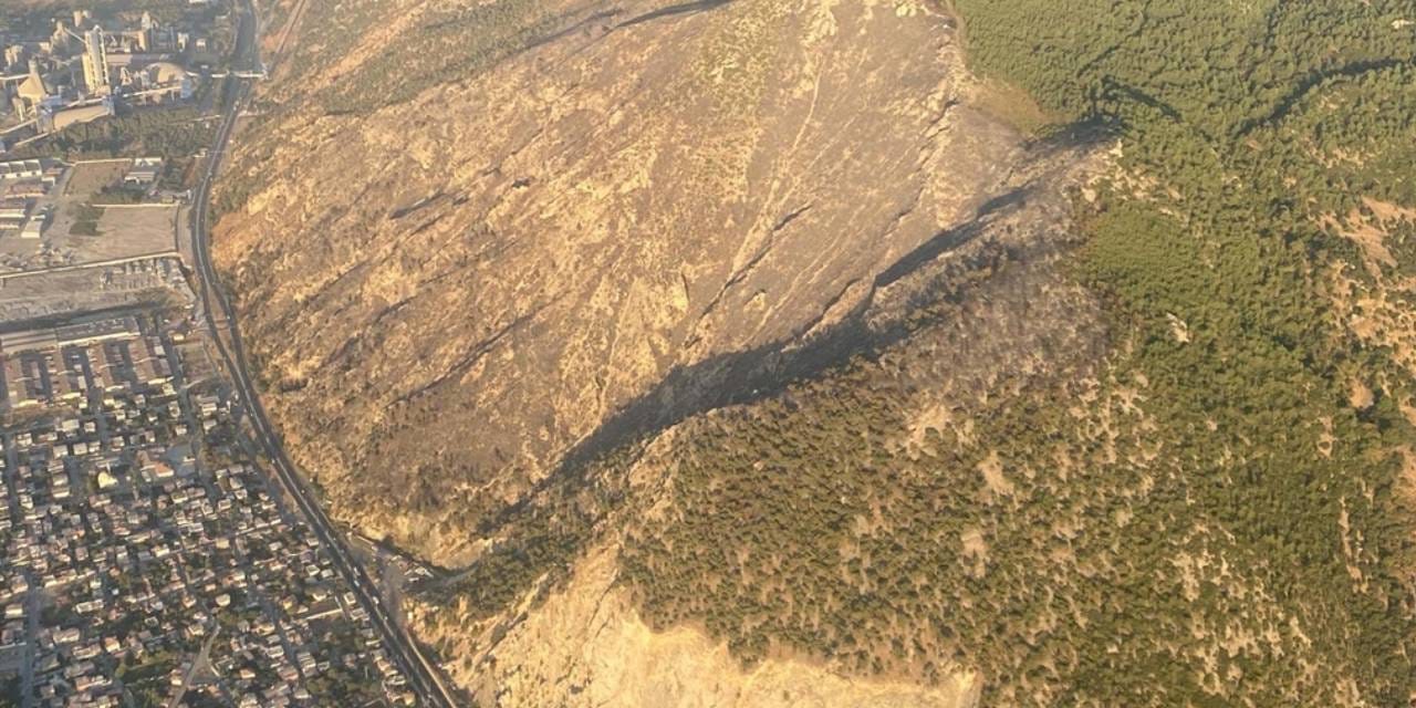 Aydın yangını 17 saat sonra kontrol altında!  50 hektar küle döndü