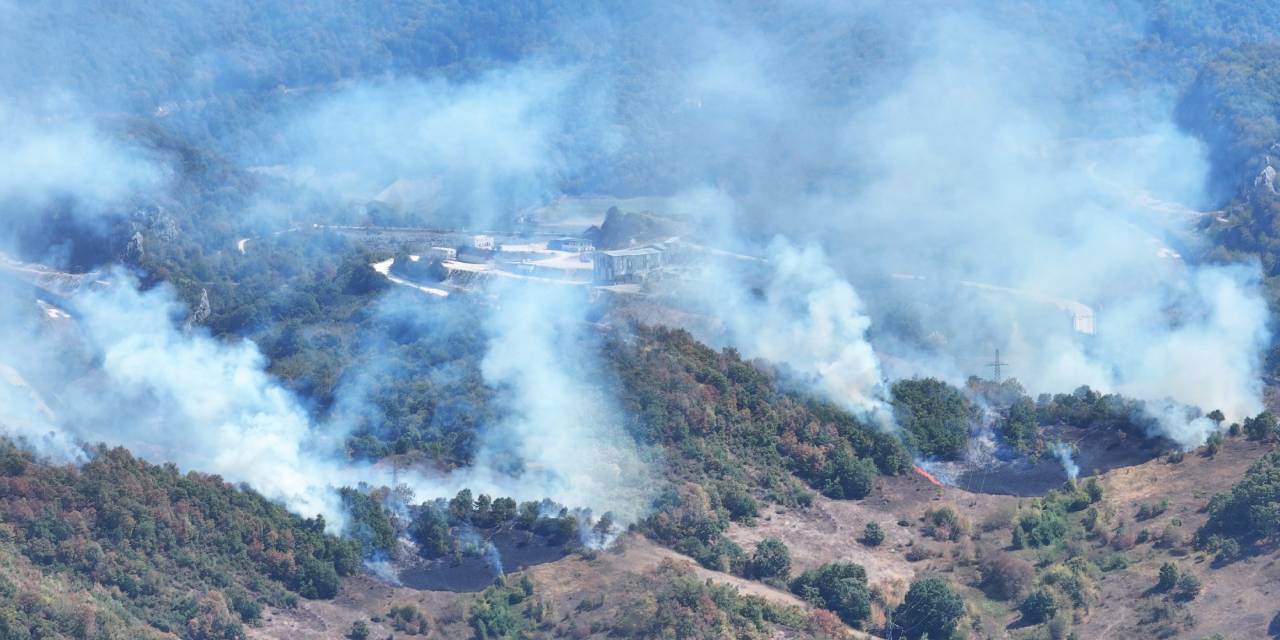 Son dakika | Düzce’de orman yangını! Dumanlar gökyüzünü kapladı