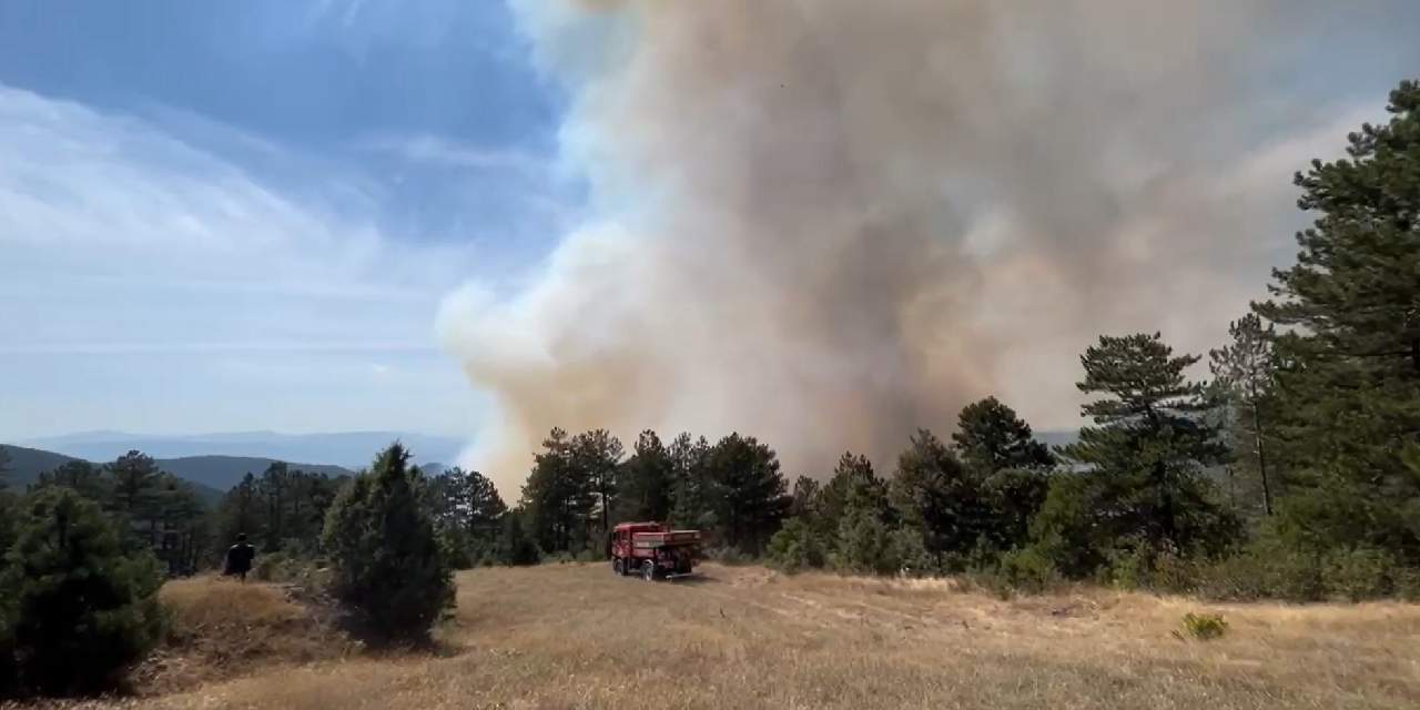 Bursa'da ormanlık alan alevlere teslim oldu