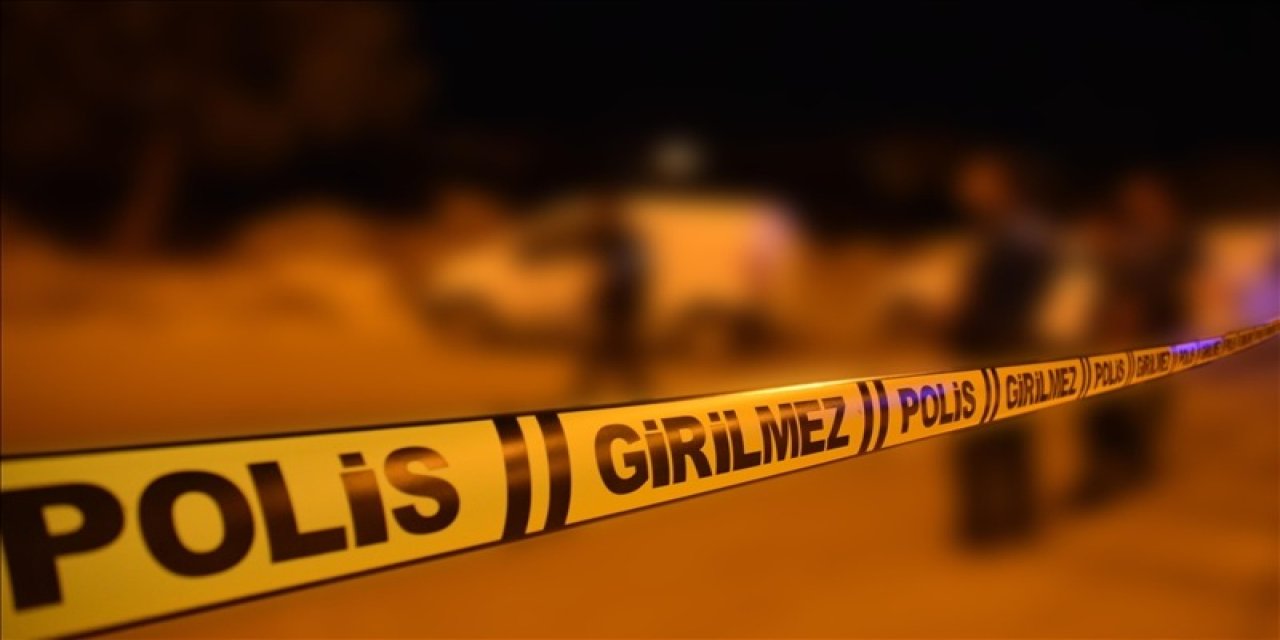 Ünye'de 2 kardeşi vurarak öldürdü