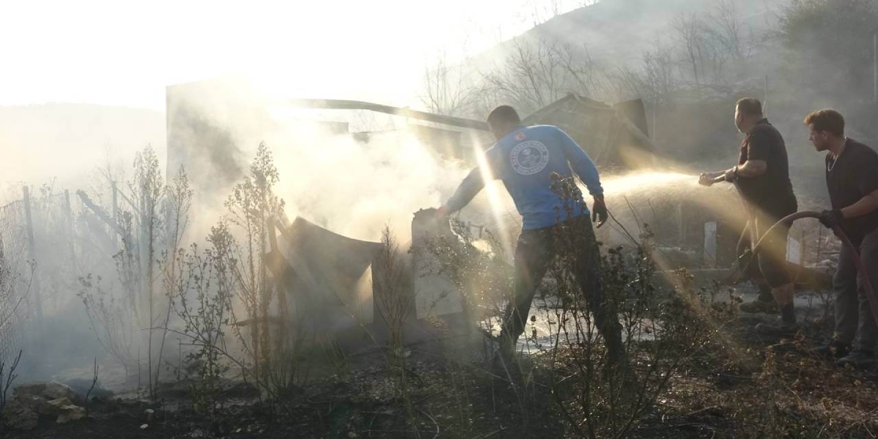 Düzce'deki orman yangını kontrol altına alındı