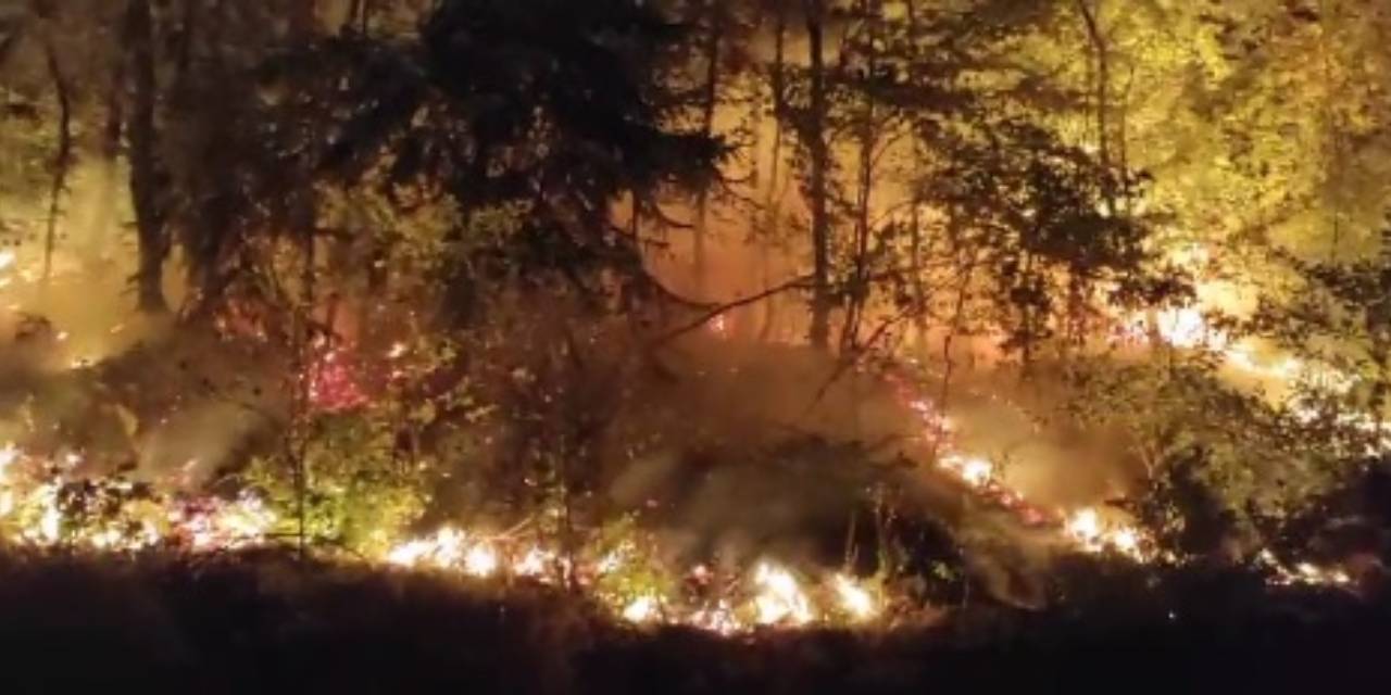 İzmir’de 8 ayda 11 bin 564 yangın meydana geldi