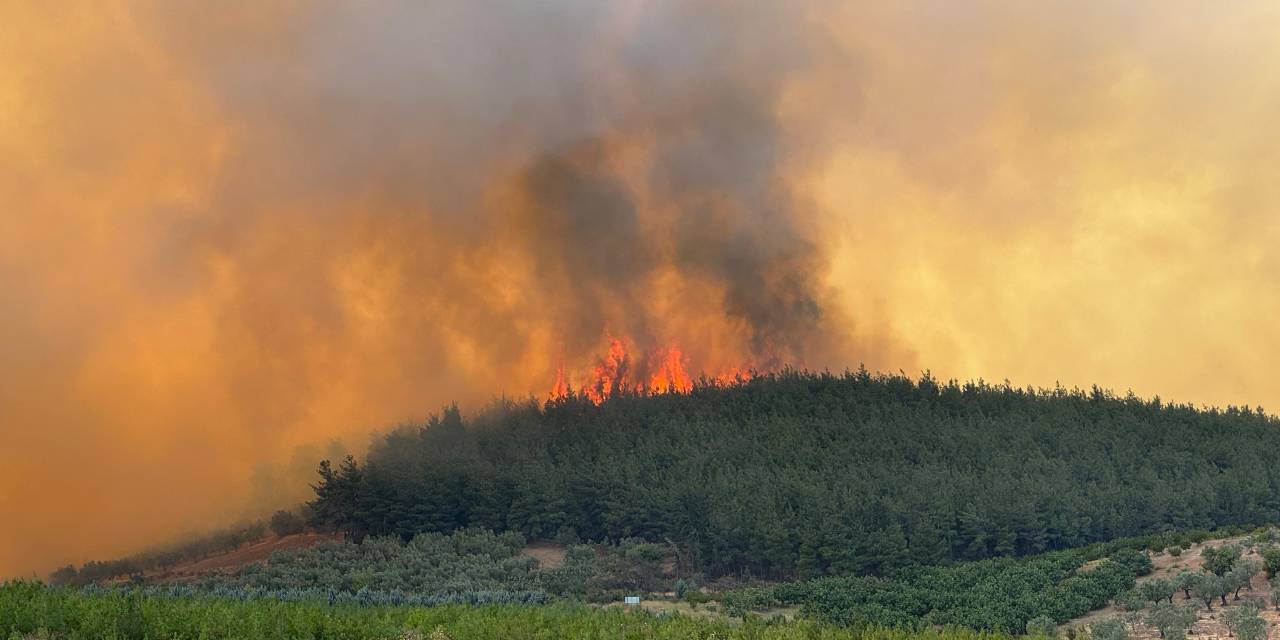 Son dakika | Bursa  ve Karabük'te orman yangını