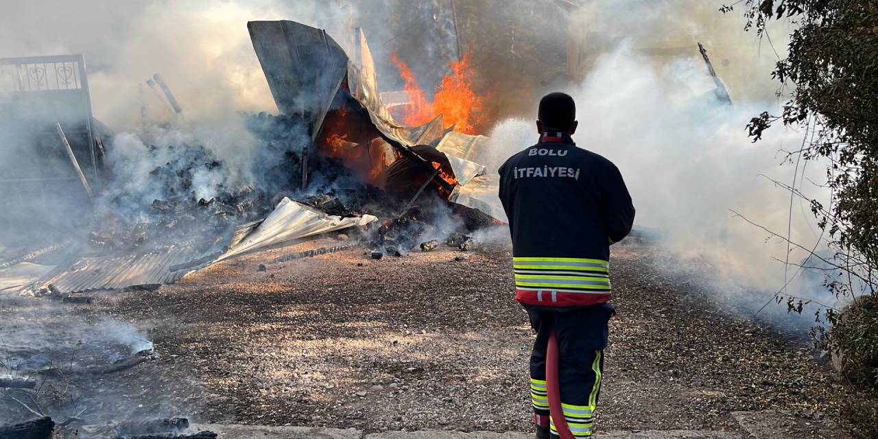 Bolu'da kundakçı damat dehşeti: 12 yapı kül oldu