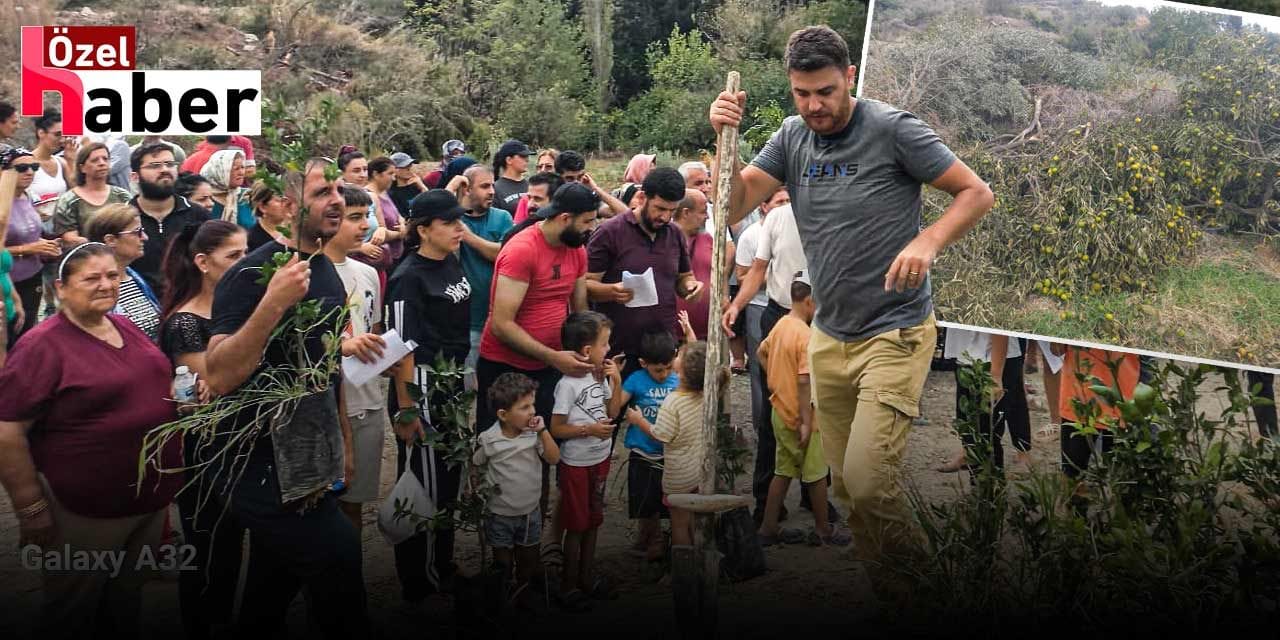 Samandağlılar topraklarına sahip çıkıyor: TOMA eşliğinde sökülen ağaçları köylüler yeniden dikti!