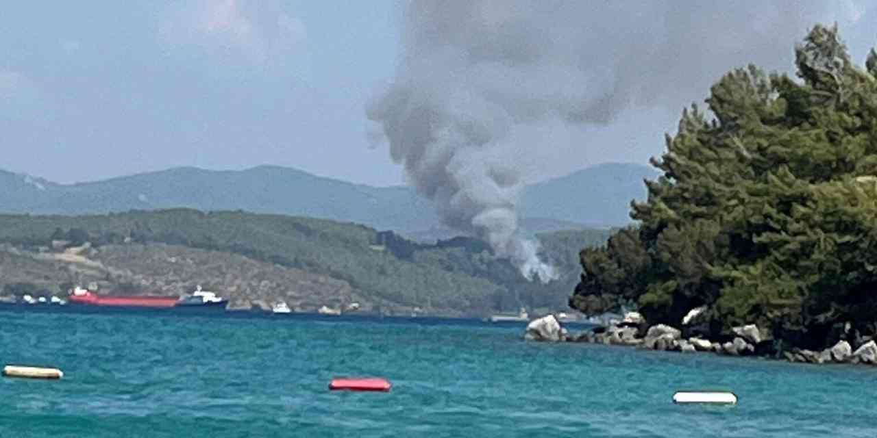 Bodrum'da orman yangını çıktı