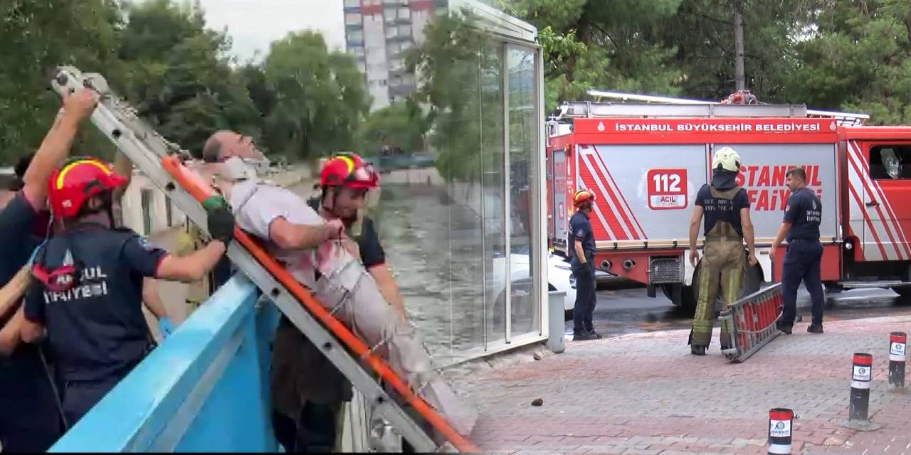 10 metre yükseklikten dereye düştü! Yardımına itfaiye koştu