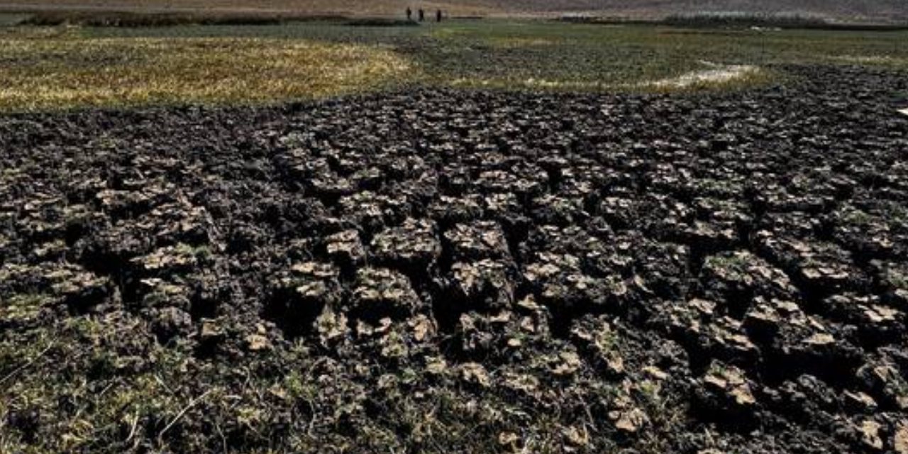 Bir damla su kalmadı! Yılkı atlarının ve kuşların terk ettiği Sarıgöl artık bir çöl