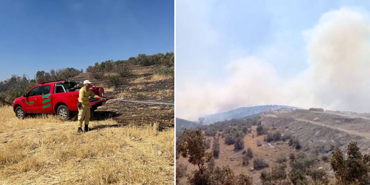 Mardin'in 2 ilçesinde örtü yangını