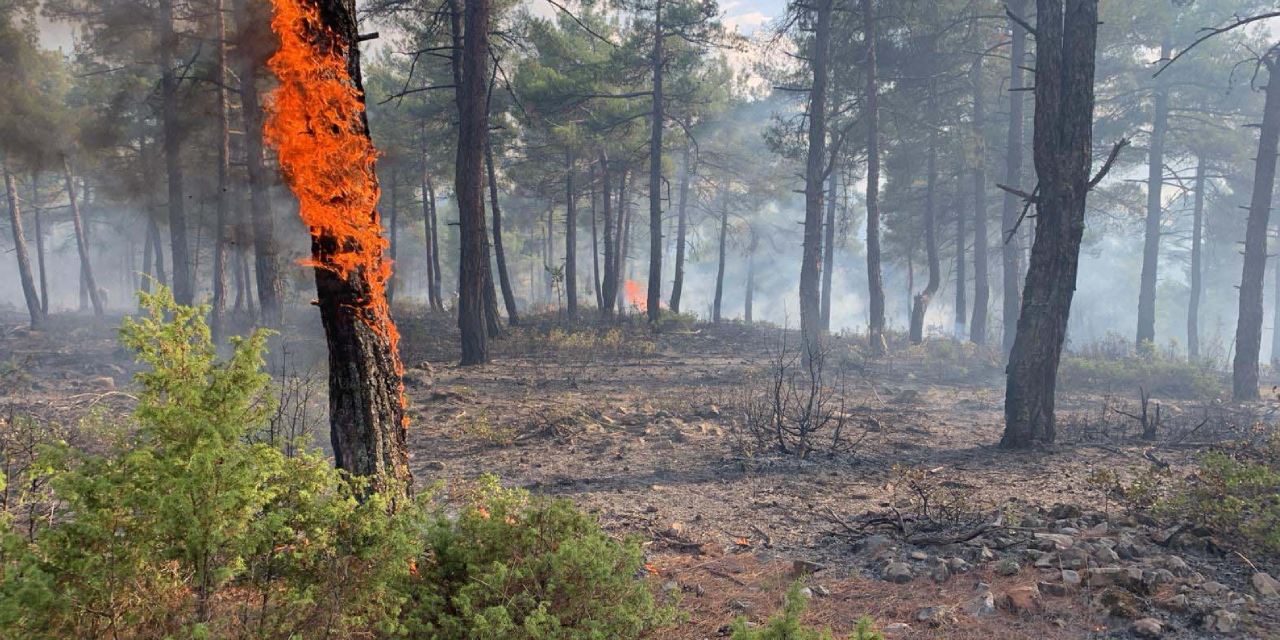 Hızlı müdahale Kütahya'da felaketi önledi