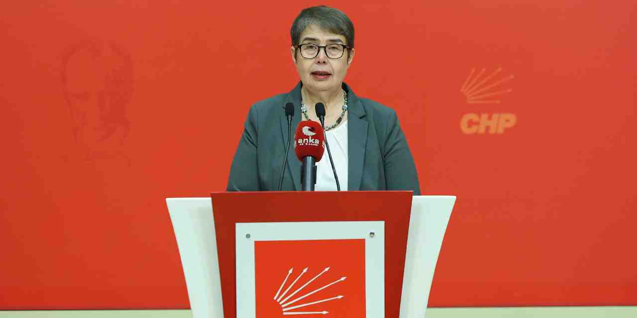 CHP'li Zeliha Aksaz Şahbaz: Kamuya ait bir hastanenin şehir hastanesine devredilmesi suçtur