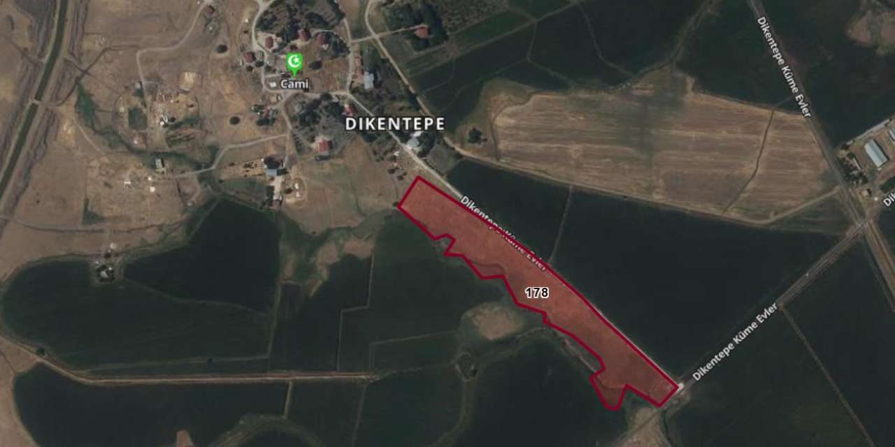 Tapu davası açıldığında doğan 68 yaşına geldi: 100 mirasçıya pay edildi