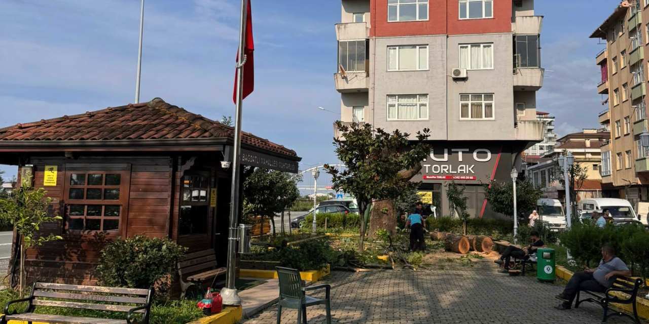 100 yaşındaydı: Kanserli diye acımadan kestiler