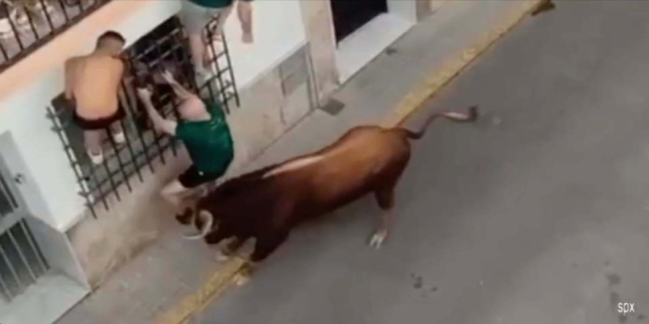 Boğa festivaline katılan kişi boynuzlanarak can verdi