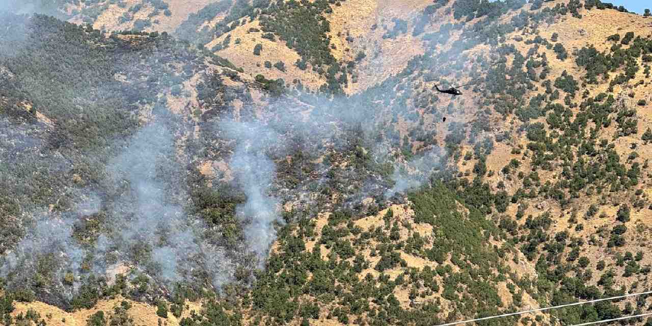 Hakkari'deki orman yangını kontrol altında