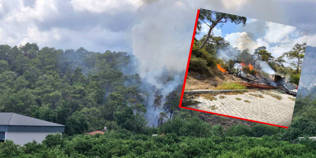 Antalya'da otogarın dibinde orman yangını!