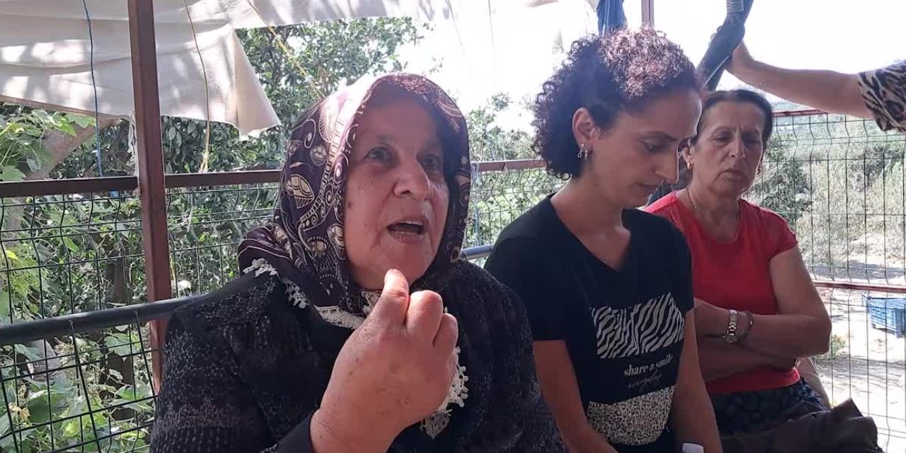 Hatay'da kamulaştırma gerilimi: Yargı süreci beklenmeden ağaçlar söküldü