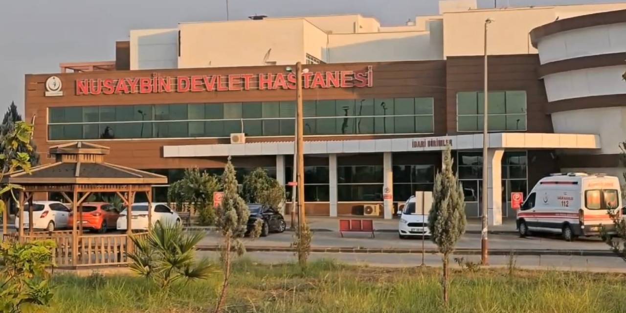 Mardin'de silahlı kavga: 2 yaralı