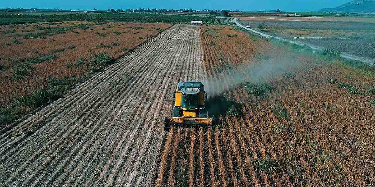 Çiftçilerin yüzünü güldürecek haber geldi!
