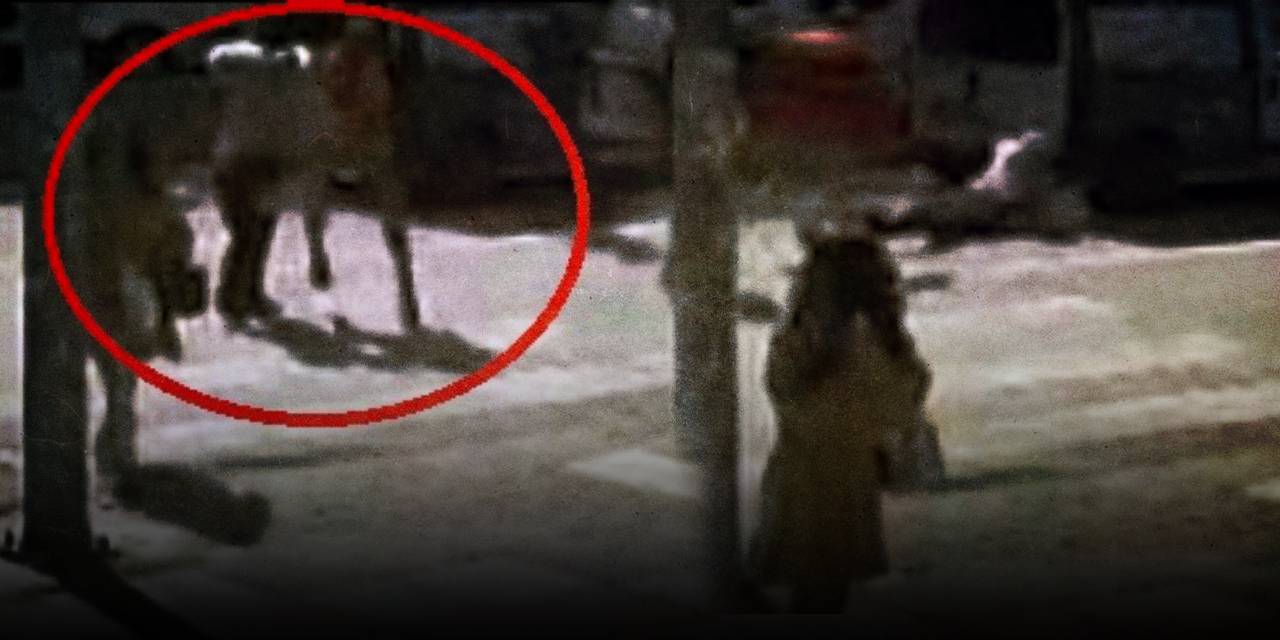 Ankara’da maganda dehşeti! Yaya geçidinde durmadı bir de tepki gösteren kadına saldırdı