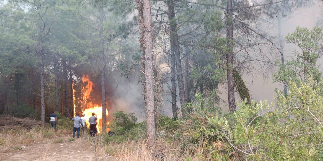 Osmaniye'de orman yangını! Soğutma çalışmaları sürüyor