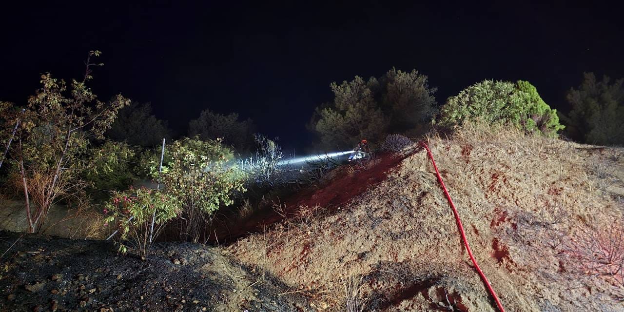 Mudanya'da yangın paniği! Alevler yerleşim yerine yaklaşmadan söndürüldü