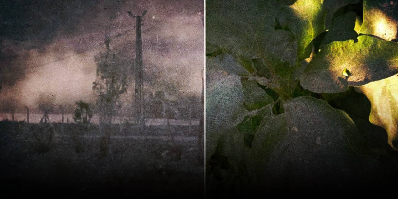 Malatya’da maden isyanı: Tozdan nefes alamıyoruz