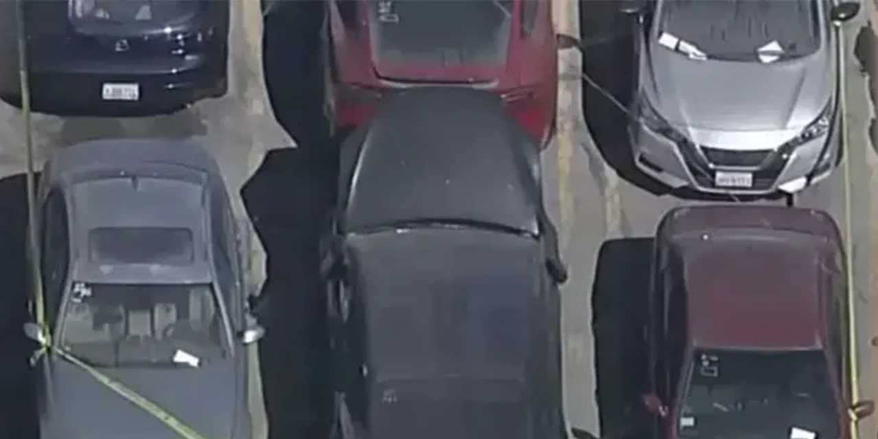 Ünlü şarkıcının otomobilinde ceset bulundu