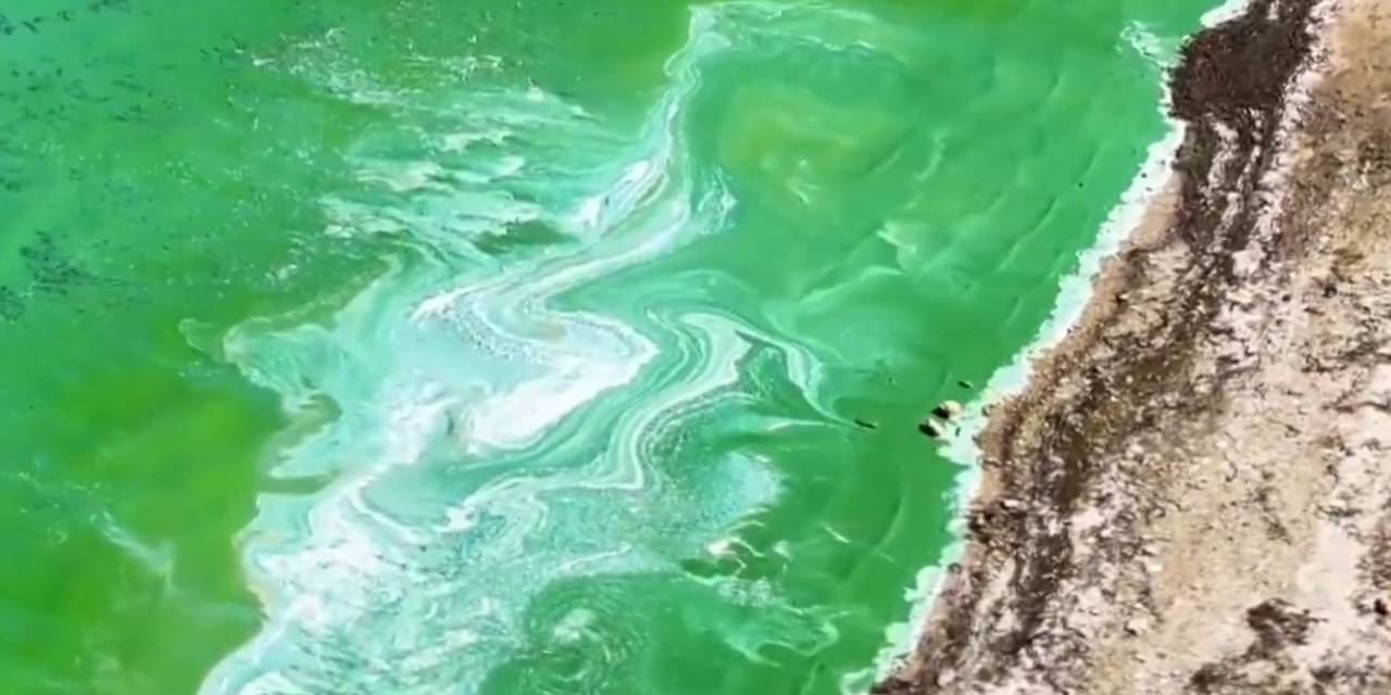 İstanbul'un içme suyu kaynağı yeşile döndü