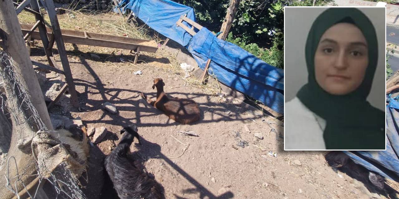 Yerde hareketsiz yatan keçiye dokundu: Akıma kapılarak hayatını kaybetti