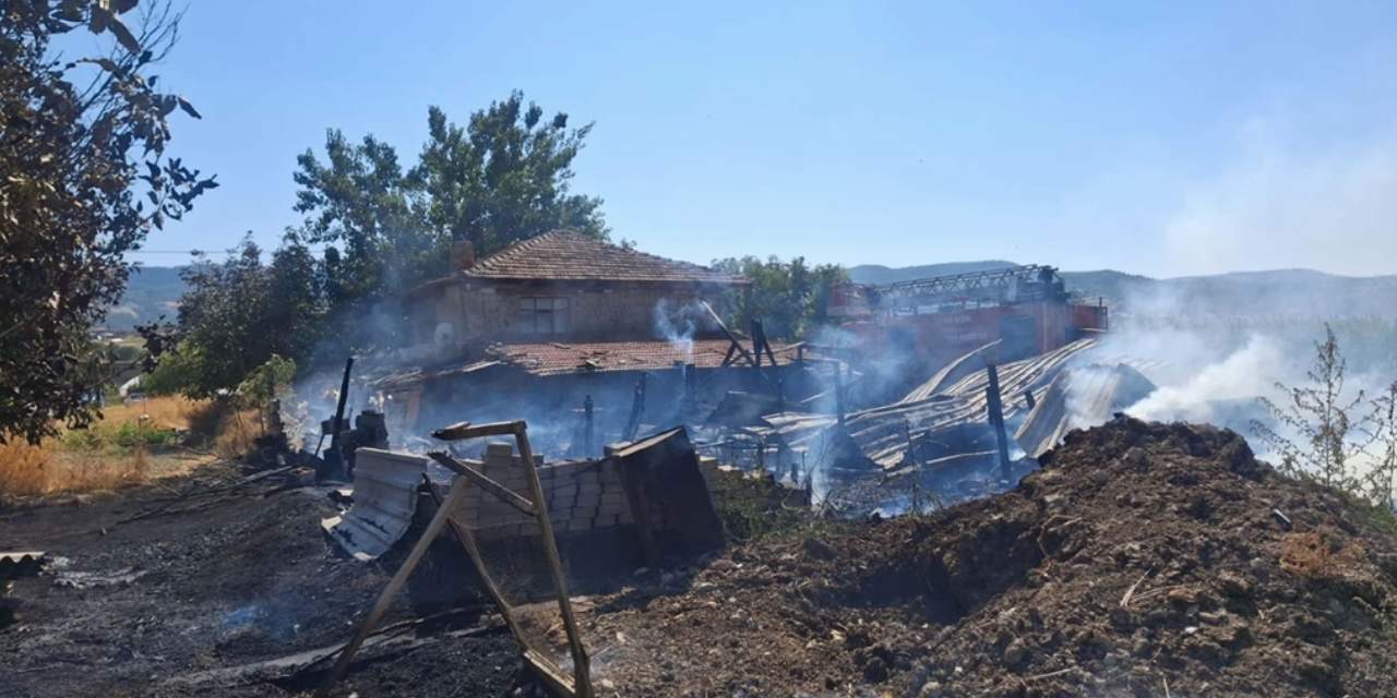 Manisa'da ahırda çıkan yangında 21 koyun öldü