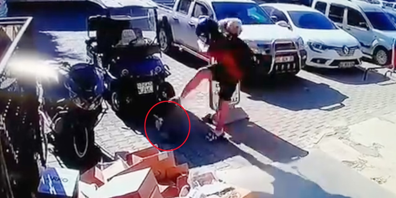 Kediyi acımasızca tekmeleyen adam tutuklandı