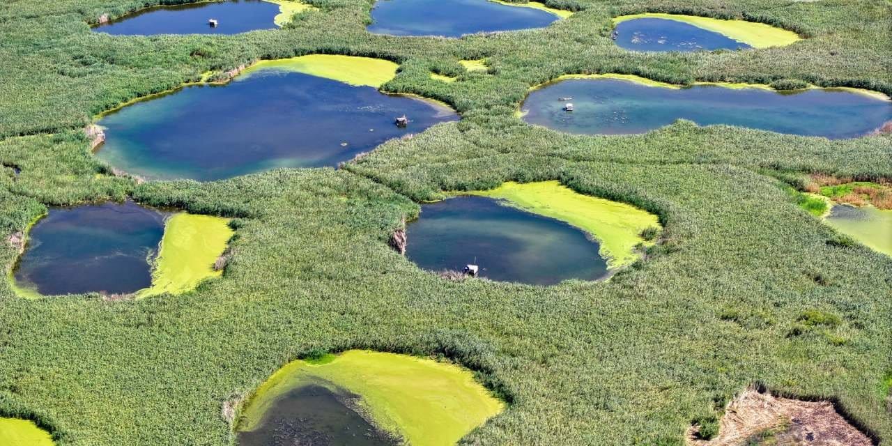 Bir yanda kuraklık diğer yanda yemyeşil bir cennet! Nehirler kurudu, göletler çekildi ama o direniyor
