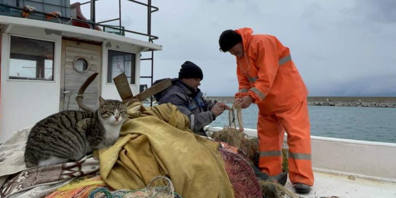 Balıkçılar eli boş döndü