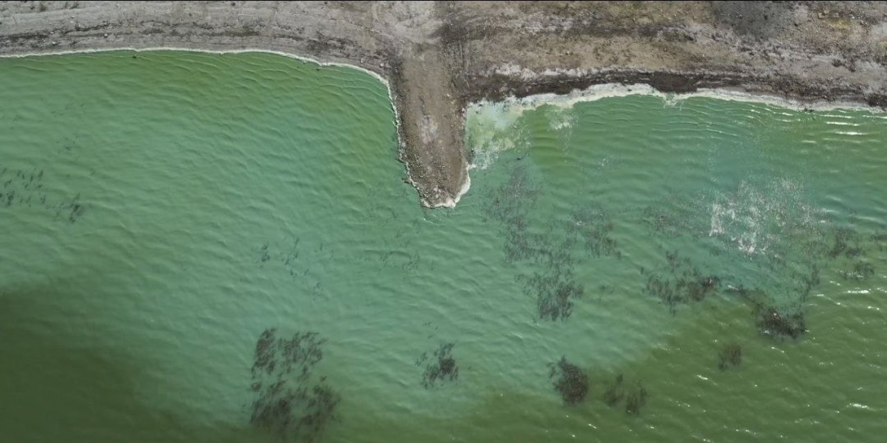 İstanbul'un içme suyu kaynağı alarm veriyor: Durugöl'de korkutan yeşil renk!